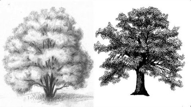 Как нарисовать пейзаж с деревьями карандашом