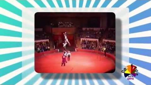 Все о Цирке - акробатический вольтиж