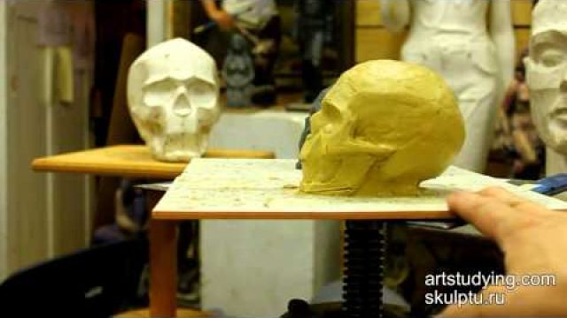 Обрубовка черепа и череп
