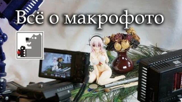 Как снять макрофото