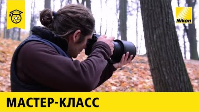 Мастер-класс по фотосъемке животных